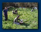 Andy, Brian and Peter all looking the same way this time